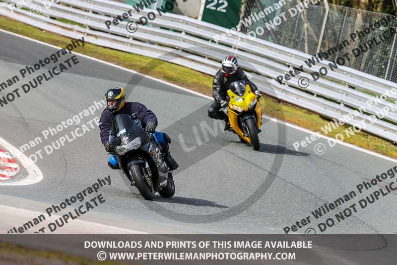 Oulton Park 21st March 2020;PJ Motorsport Photography 2020;anglesey;brands hatch;cadwell park;croft;donington park;enduro digital images;event digital images;eventdigitalimages;mallory;no limits;oulton park;peter wileman photography;racing digital images;silverstone;snetterton;trackday digital images;trackday photos;vmcc banbury run;welsh 2 day enduro